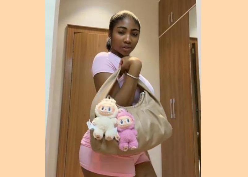 From China to Nigeria- How the Labubu Doll Is Redefining Global Fashion Trends