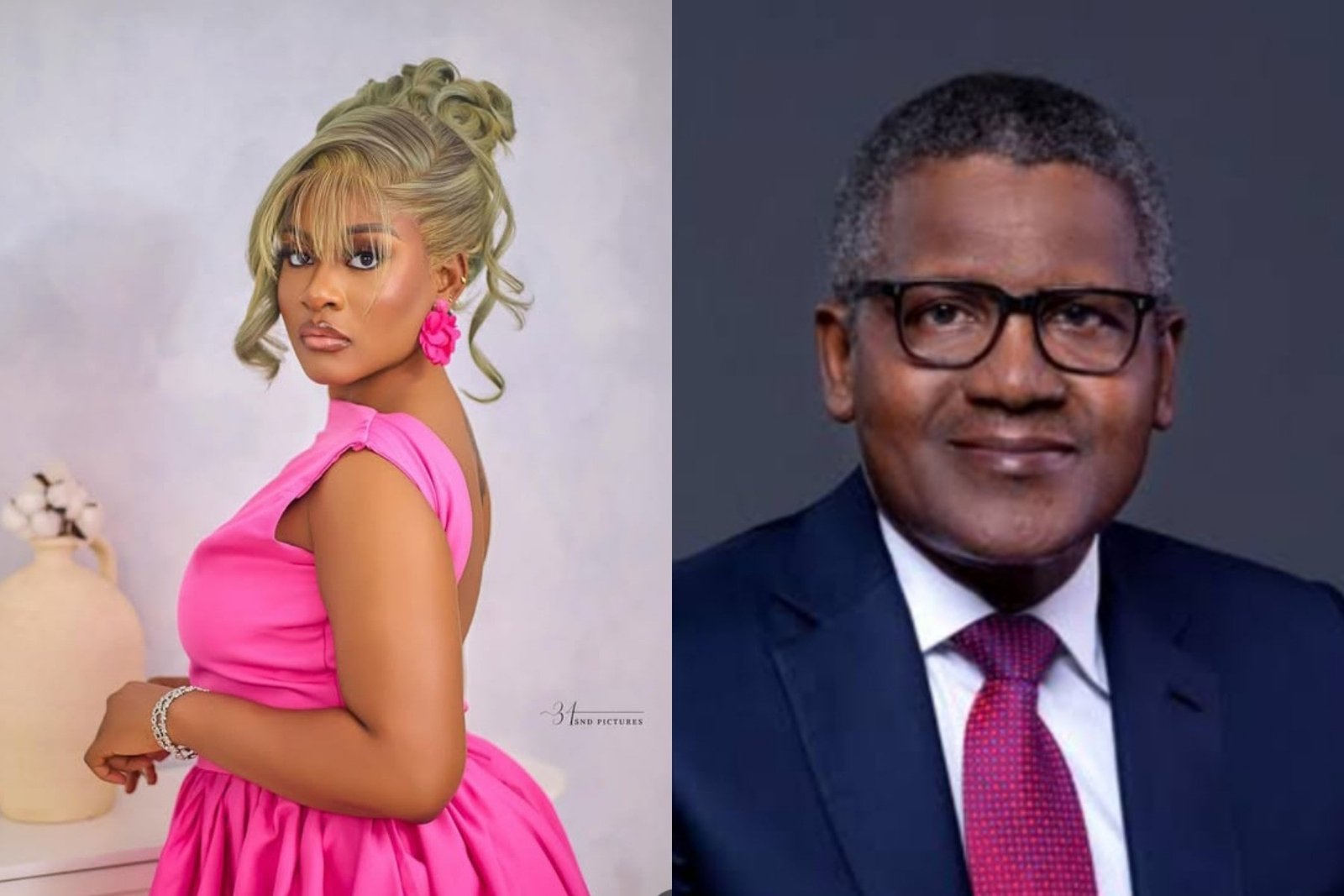 Phyna accuses Dangote Group